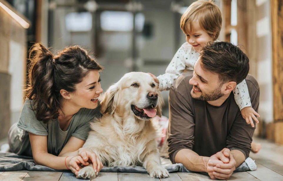 Real Estate Financing