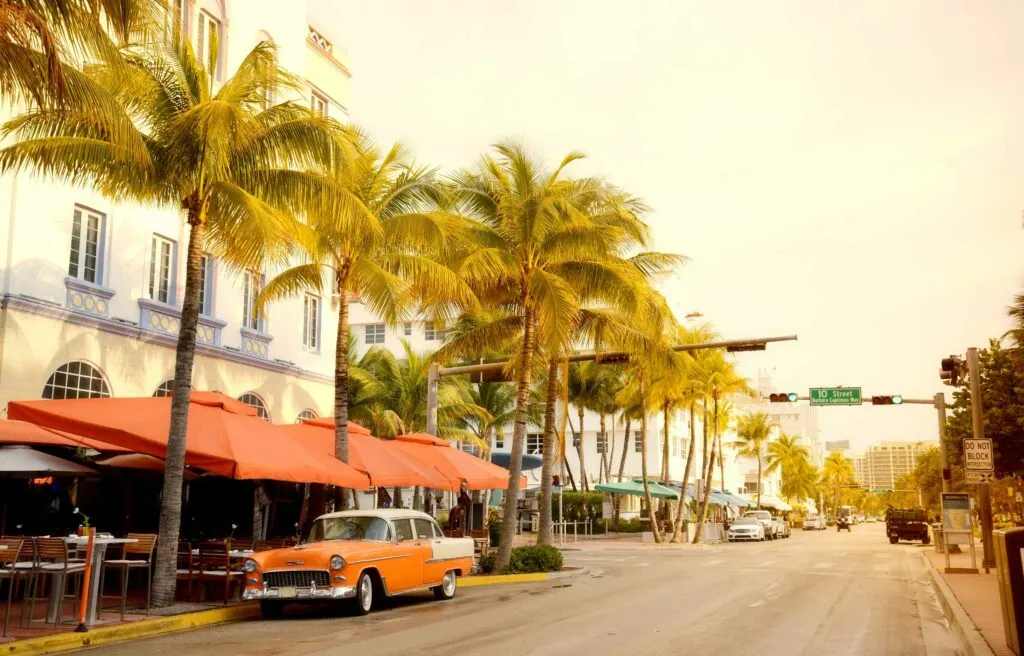 Palm-lined Miami street near offices and cafes.