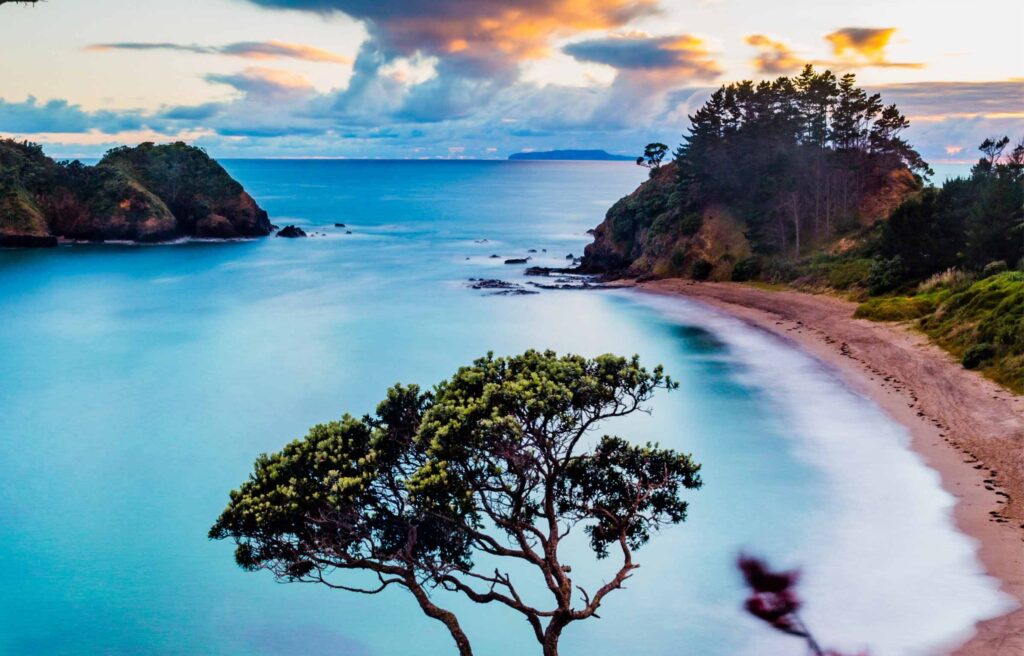 Sunrise on Coast in New Zealand