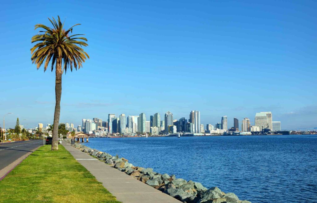 San Diego California waterfront with palm tree and downtown skyline under a clear blue sky.
