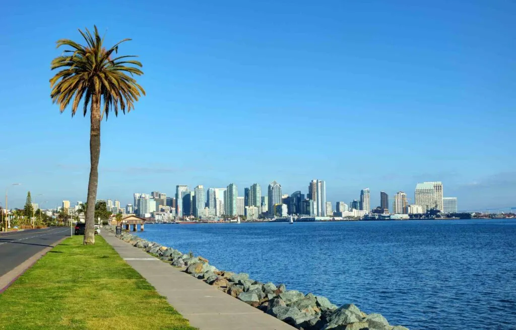 San Diego California waterfront with palm tree and downtown skyline under a clear blue sky.
