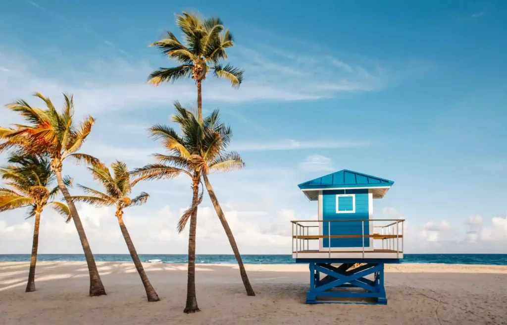 A Florida beach with palm trees reflects lifestyle benefits for those who relocate to Florida as a Doctor in 2026.